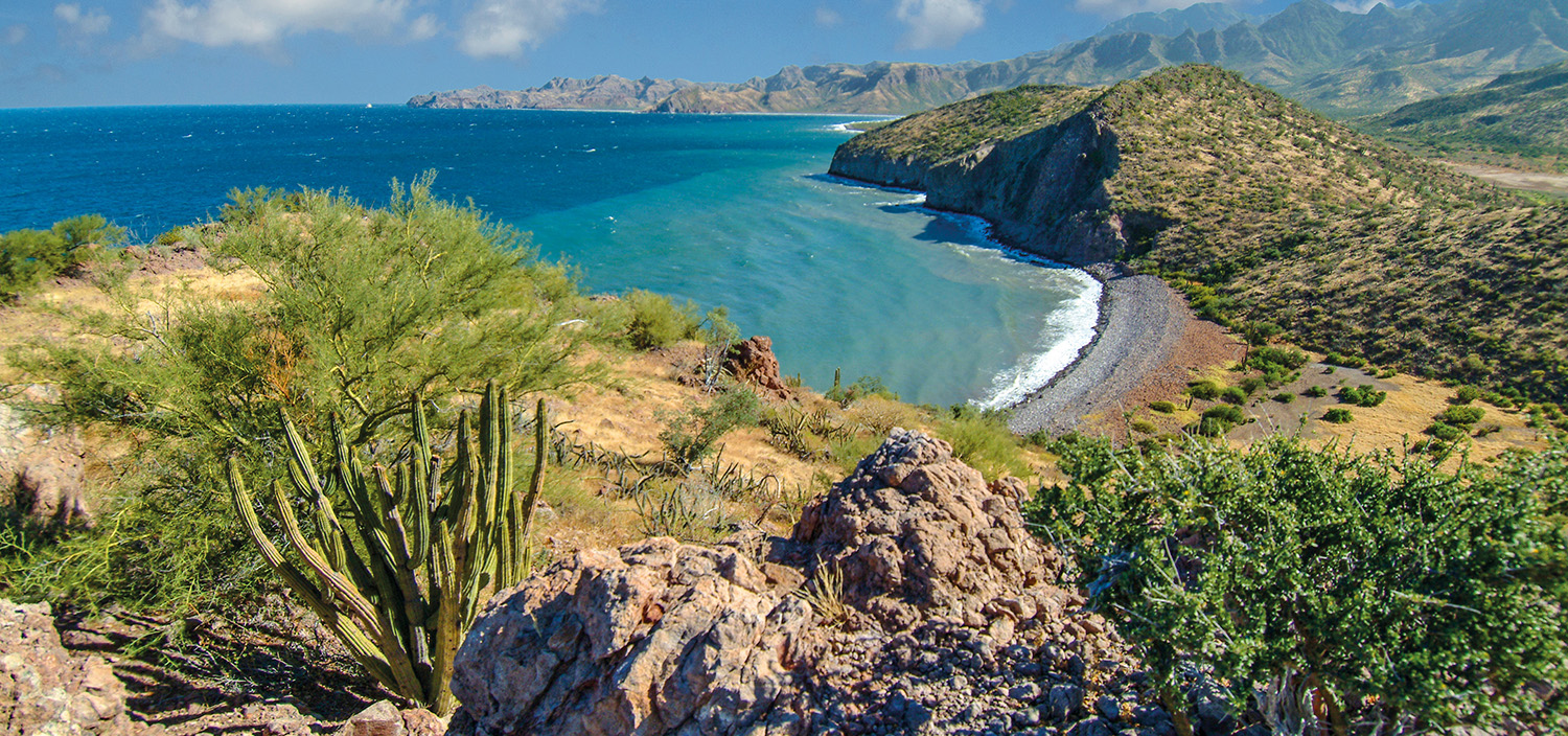 Mexico yacht charter views of bays and cacti